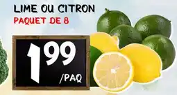 Marche Salaberry LIME OU CITRON offer