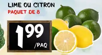 Marche Salaberry LIME OU CITRON offer