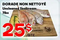 Marche Salaberry DORADE NON NETTOYÉ offer