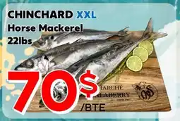 Marche Salaberry CHINCHARD XXL offer
