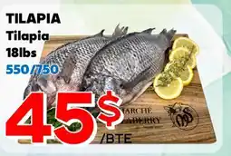 Marche Salaberry TILAPIA offer