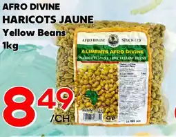 Marche Salaberry AFRO DIVINE HARICOTS JAUNE offer