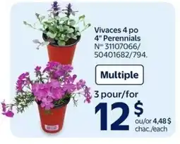 Walmart Vivaces 4 po 4" perennials offer