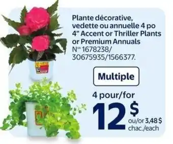 Walmart Accent or thriller plants or premium annuals offer