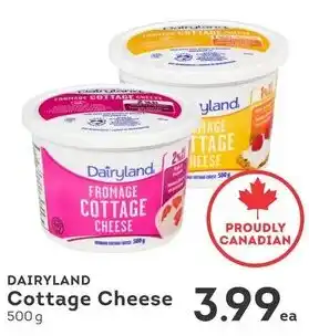 IGA Dairyland cottage cheese offer