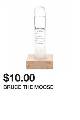 Chapters Indigo BRUCE THE MOOSE offer