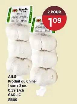 Kim Phat GARLIC offer
