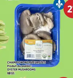 Kim Phat OYSTER MUSHROOMS offer