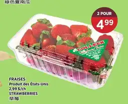 Kim Phat STRAWBERRIES offer