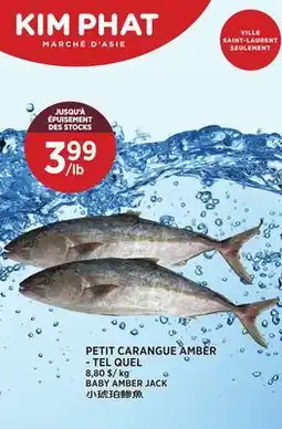 Kim Phat BABY AMBER JACK offer