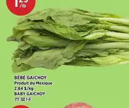 Kim Phat BABY GAICHOY offer