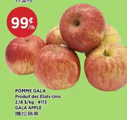 Kim Phat GALA APPLE offer