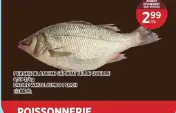 Kim Phat ENTIRE WHITE JUMBO PERCH offer