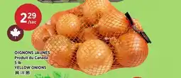 Kim Phat YELLOW ONIONS offer