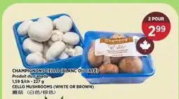 Kim Phat CELLO MUSHROOMS (WHITE OR BROWN) offer