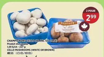 Kim Phat CELLO MUSHROOMS (WHITE OR BROWN) offer