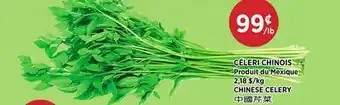 Kim Phat CHINESE CELERY offer