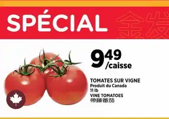Kim Phat VINE TOMATOES offer