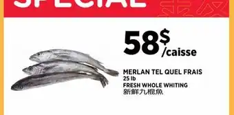 Kim Phat FRESH WHOLE WHITING offer