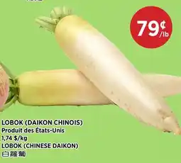 Kim Phat LOBOK (CHINESE DAIKON) offer