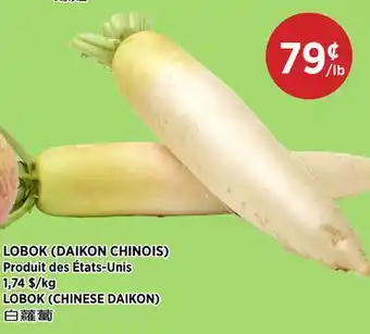 Kim Phat LOBOK (CHINESE DAIKON) offer