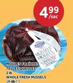 Kim Phat WHOLE FRESH MUSSELS offer