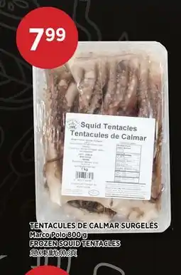 Kim Phat MARCO POLO FROZEN SQUID TENTACLES offer