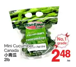 T&T Supermarket MINI CUCUMBER CANADA,2LB offer
