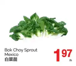 T&T Supermarket BOK CHOY SPROUT offer