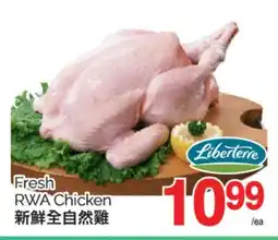 T&T Supermarket FRESH RWA CHICKEN offer