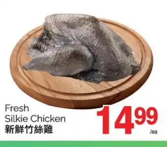 T&T Supermarket FRESH SILKIE CHICKEN offer