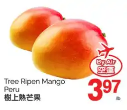 T&T Supermarket TREE RIPEN MANGO PERU offer