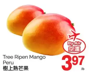 T&T Supermarket TREE RIPEN MANGO PERU offer