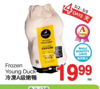 T&T Supermarket Frozen Young Duck offer