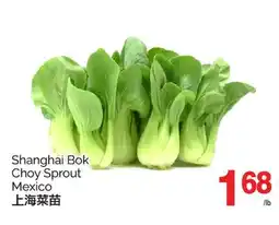 T&T Supermarket SHANGHAI BOK CHOY SPROUT MEXICO offer
