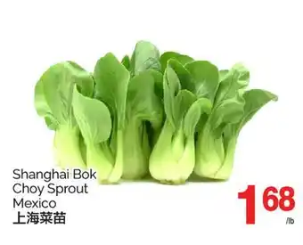 T&T Supermarket SHANGHAI BOK CHOY SPROUT MEXICO offer