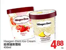 T&T Supermarket HAAGEN-DAZS ICE CREAM, 450ML offer