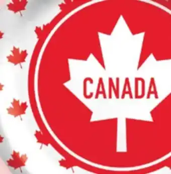 Party City Canada Day Classic Maple Leaves Disposable Party Plates, 7-in, 8-pk offer