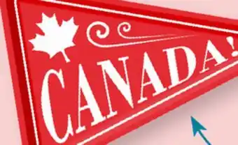 Party City 'Canada!' Die Cut Salad Plates, 9.5-in, 8-ct offer