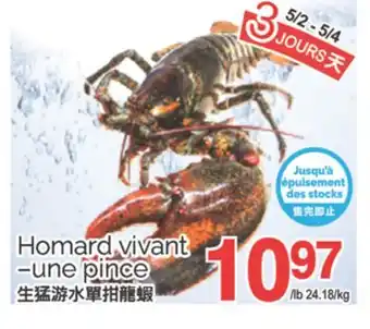 T&T Supermarket HOMARD VIVANT-UNE PINCE offer