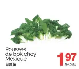 T&T Supermarket POUSSES DE BOK CHOY MEXIQUE offer