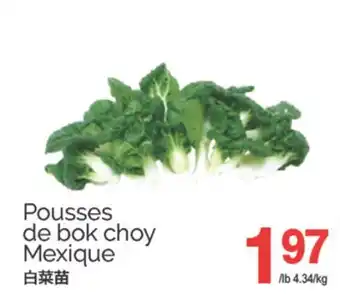 T&T Supermarket POUSSES DE BOK CHOY MEXIQUE offer