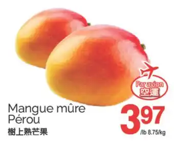 T&T Supermarket MANGUE MÛRE PÉROU offer