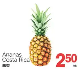 T&T Supermarket ANANAS COSTA RICA offer
