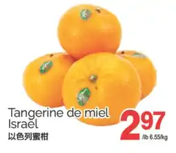 T&T Supermarket TANGERINE DE MIEL ISRAËL offer