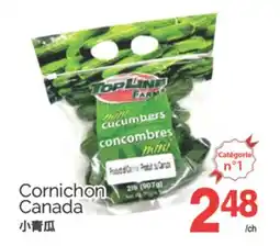 T&T Supermarket CORNICHON CANADA offer