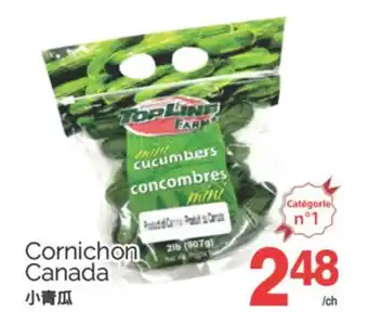 T&T Supermarket CORNICHON CANADA offer