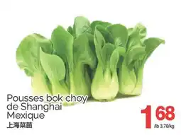 T&T Supermarket POUSSES BOK CHOY DE SHANGHAI/MEXIQUE offer