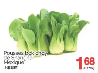 T&T Supermarket POUSSES BOK CHOY DE SHANGHAI/MEXIQUE offer