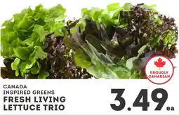 IGA Canada inspired greens fresh living lettuce trio offer
